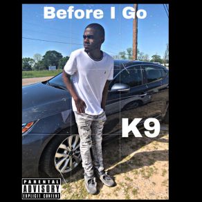 Download track If You Don't Mind K9