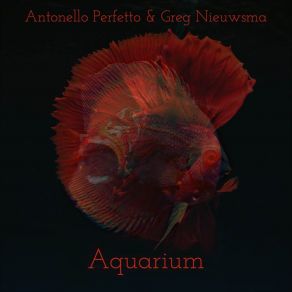 Download track Caracha Greg Nieuwsma, Antonello Perfetto