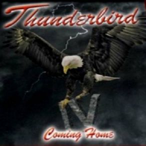 Download track Streetlight The Thunderbird