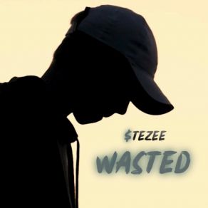 Download track Wasted (Instrumental) $ TEZEE