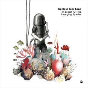 Download track Immerge Big Bold Back Bone