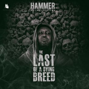 Download track Music Finds Us All (Intro) Hammer Of The Last Two