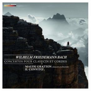 Download track 13 - Concerto En Mi Mineur Pour Clavecin Et Cordes, F. 43 - II. Adagio Wilhelm Friedemann Bach