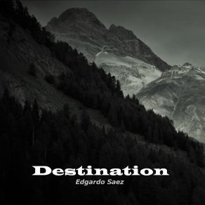 Download track Destination Edgardo Saez