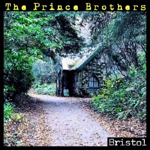 Download track Wake Of Pain The Prince Brothers