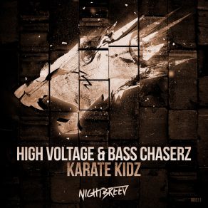 Download track Karate Kidz (Original Mix) High Voltage, Bass Chaserz