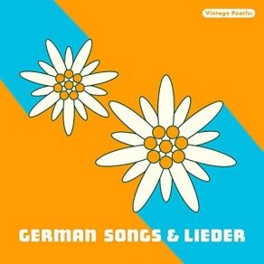 Download track Liebling Mit Dir Beginnt Der Frühling (Remastered) Die Vielharmoniker