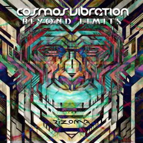 Download track Perception Cosmos Vibration