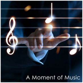 Download track Mozart: Minuet In G Major, K. 15y Florian Birsak