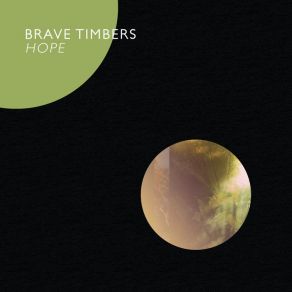 Download track In The Long Grass Brave Timbers