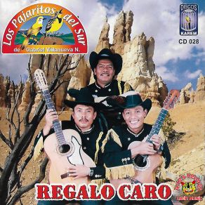 Download track Corrido De Seferino Los Pajaritos Del Sur