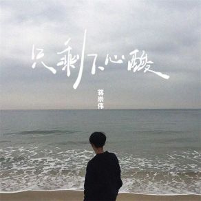 Download track 只剩下心酸 (DJ彭锐版伴奏) 蒋崇伟