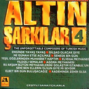 Download track Seni Ben Ellerin Olsun Diye Mi Sevdim Seni Ben Ellerin