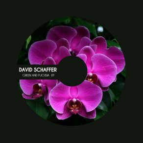 Download track Flying And Dreaming David Schaffer