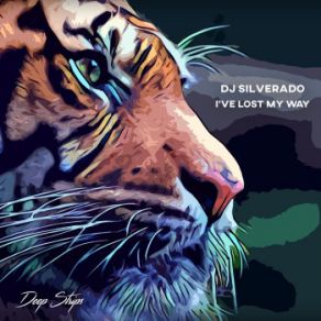 Download track I've Lost My Way (Original Mix) Dj Silverado