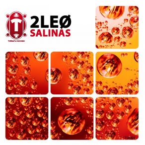 Download track Salinas (Radio Edit) 2LEO