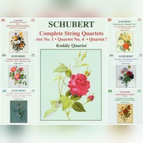 Download track String Quartet No. 12 In C Minor D. 703 'Quartettsatz' - Allegro Assai' Kodály Quartet