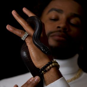 Download track SNAKESKINS Julian Keyz