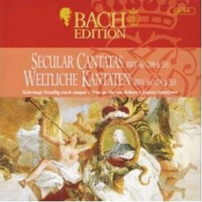 Download track Amore Traditore BWV 203 - I Aria (Basso) Johann Sebastian Bach