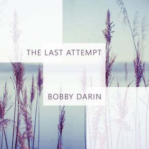 Download track A Picture No Artist Could Paint Bobby Darin