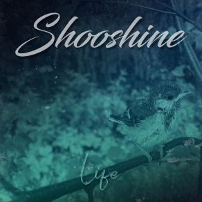 Download track Barney Shooshine