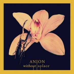 Download track Open Casket Anion