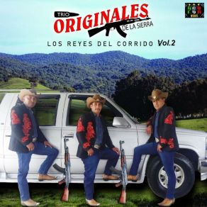 Download track El Señor De Las Canas Trio Originales De La Sierra