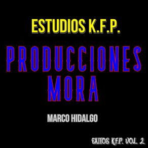 Download track Borracho De Cochera Marco Hidalgo