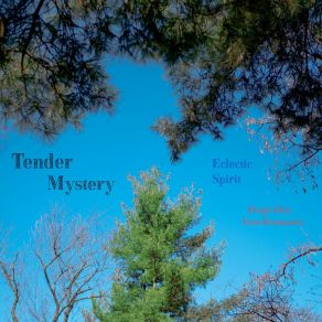 Download track Tender Mistery: Hope Eclectic Spirit