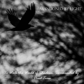 Download track Until There Is Nothing Left To Feel Abandoned By Light