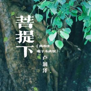 Download track 菩提下（万物生电子木鱼版） (主歌) 卢润泽