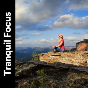 Download track Work Music For Concentration, Pt. 5 Inspiring Tranquil Sounds