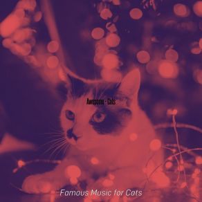 Download track Excellent (Music) Famous Music For CatsThe Music