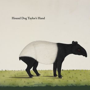 Download track You Can't Leave Now Hound Dog Taylor's Hand