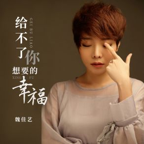 Download track 给不了你想要的幸福 魏佳艺