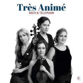 Download track 13 Paris Quartet No. 6 In E Minor, TWV 43 _ E4 _ VI. Modéré Très Animé