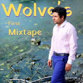 Download track You Can't Understand Acorn Wolve