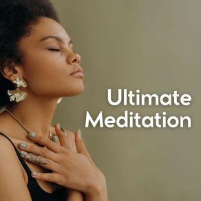 Download track Quiet Meditation Music, Pt. 3 Music For Work