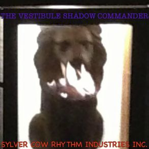 Download track Forensic Mental Hospital (Sledhicket Vestibule Commander Theme Master Mix) Sylver Cow Rhythm Industries Inc