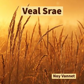 Download track Kratie Doung Chet Noy Vannet