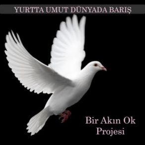 Download track O Türküyü Söyleyin Ibrahim Karaca