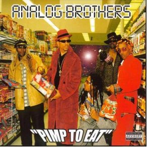 Download track Analog Anilalator Vrs. Silver Surfer Analog Brothers