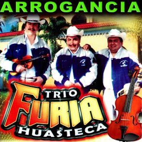 Download track COMO NO VOY A QUERERTE Trio Furia Huasteca