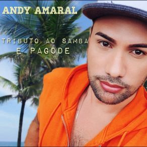 Download track Pra Você Acreditar (Cover) Andy Amaral