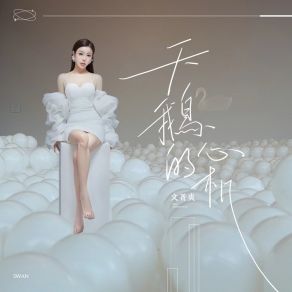 Download track 天鹅的心机 (伴奏) 文菁爽