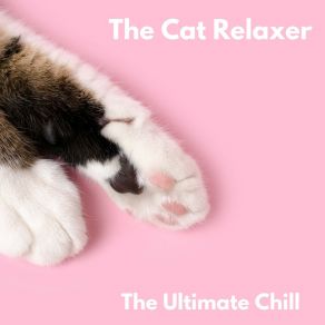 Download track The Cat Relaxer The Cat Relaxer