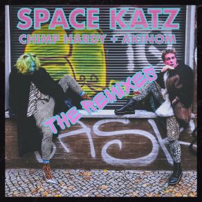 Download track Space Katz (Positive Conundrum Remix) AKINOMPositive Conundrum