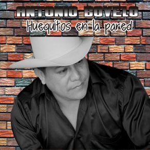 Download track Me Robe La Tucusita Antonio Bovelo