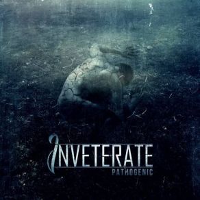 Download track Screaming For Salvation Inveterate