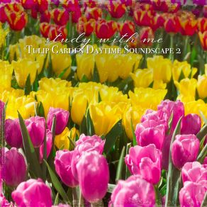 Download track Tulip Garden Daytime Soundscape, Pt. 3 Sebastian Riegl